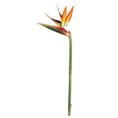 Afloral Large Bird of Paradise Artificial Flower
