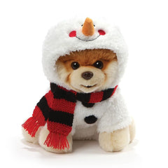 Boo the Dog