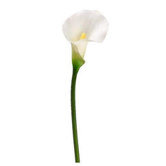 Afloral Latex Calla Lily 21" White