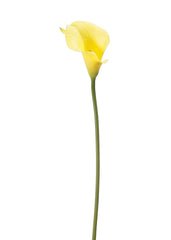 Afloral Real Touch Small Calla Lily Yellow